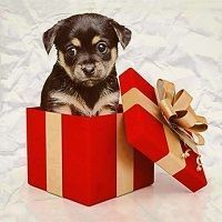 ยฟPor quรฉ no optimizar los regalos de Cazadividendos Jr? Se convertirรกn en ahorro adicional ยฟPor quรฉ no optimizar los regalos de Cazadividendos Jr? Se convertirรกn en ahorro adicional