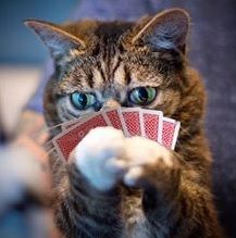 Jugando a dos cartas: revalorización y dividendos